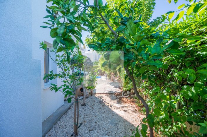 Image No.29-3 Bed Villa for sale