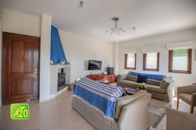 Detached Villa For Sale  in  Arodes