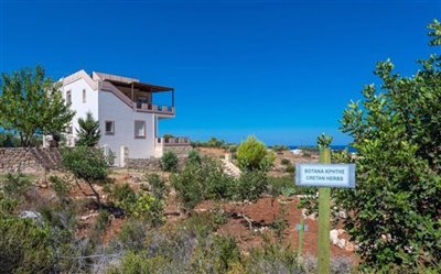 villa-for-sale-in-chania-crete-gardens-4137e0