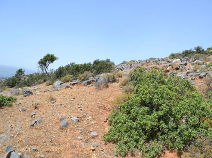 Image No.11-Plot for sale