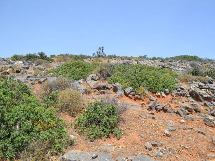 Image No.12-Plot for sale