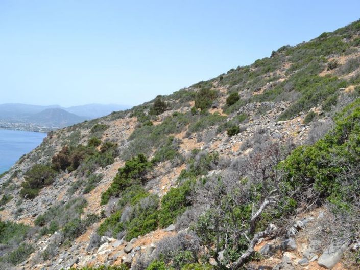 Image No.14-Plot for sale