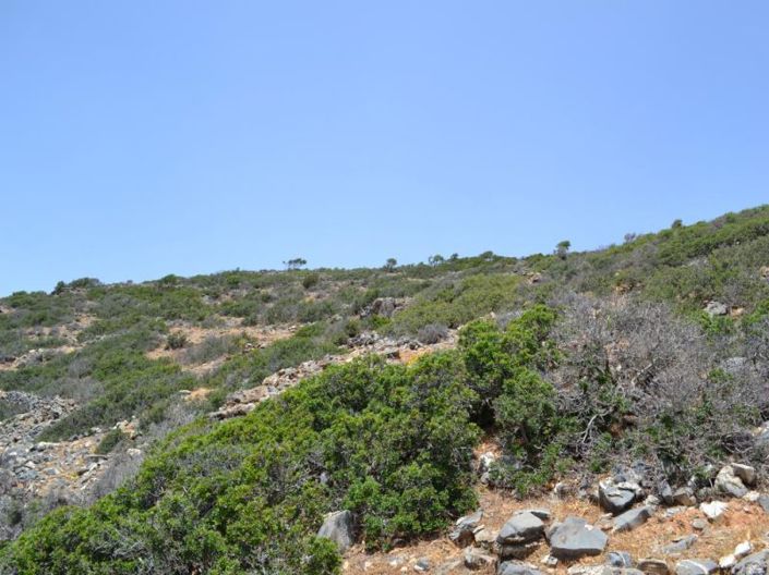 Image No.15-Plot for sale