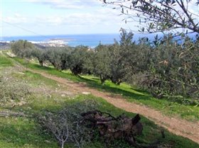 Image No.14-Terrain à vendre à Agios Nikolaos