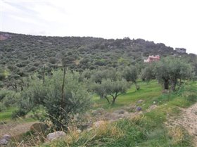Image No.3-Terrain à vendre à Agios Nikolaos