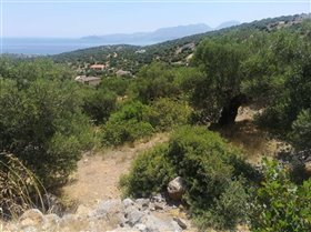 Image No.3-Terrain à vendre à Agios Nikolaos