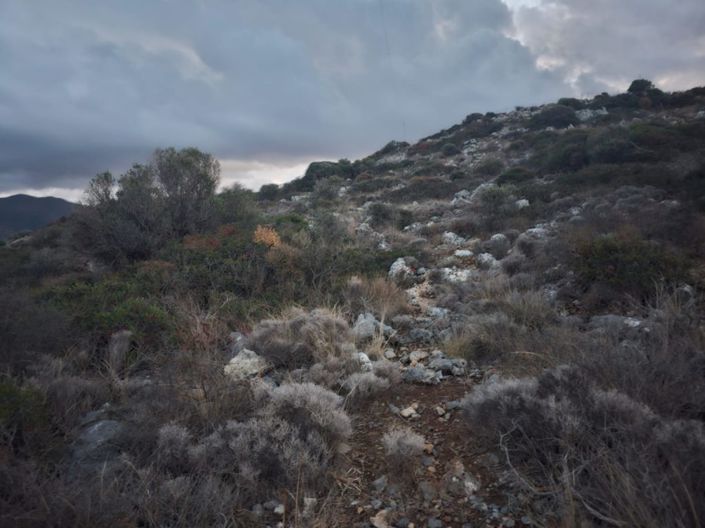 Image No.6-Terrain à vendre à Agios Nikolaos