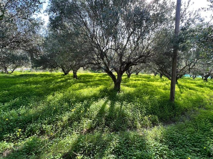 Image No.2-Plot for sale