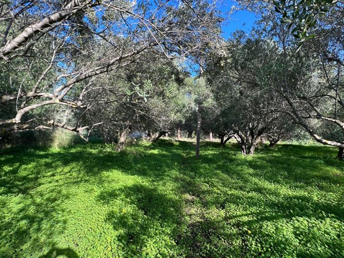 Image No.8-Plot for sale