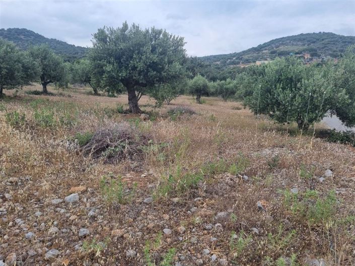 Image No.8-Plot for sale