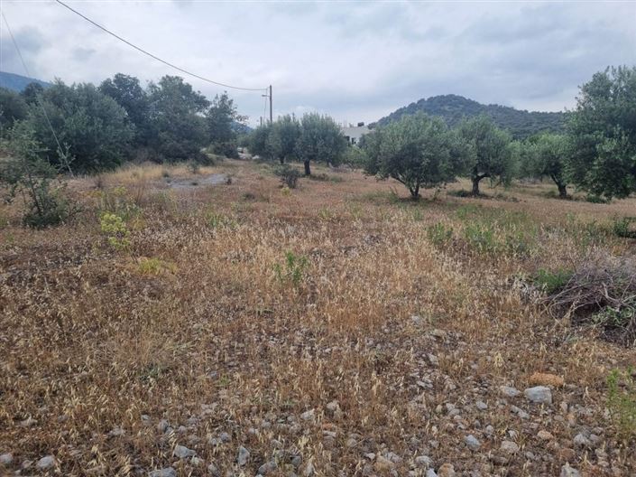 Image No.9-Plot for sale