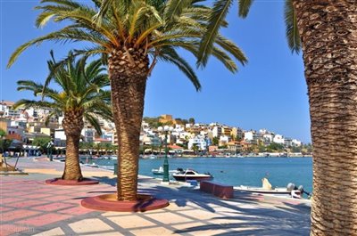 The town of Sitia