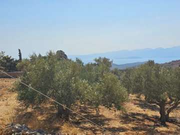 plpla29-photo-6-1024x768