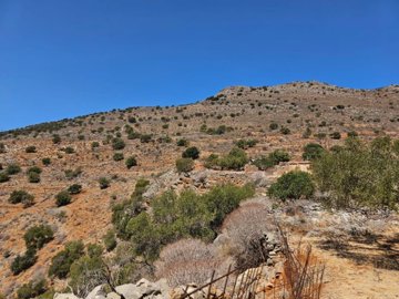 plpla29-photo-2-1024x768