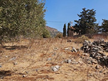 plpla29-photo-1-1024x768