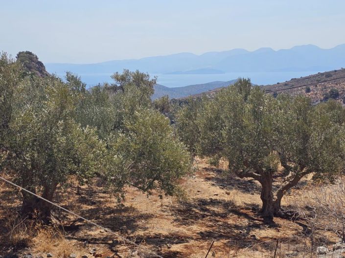 Image No.4-Terrain à vendre à Elounda