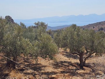 plpla29-photo-4-1024x768