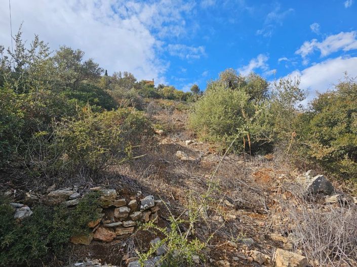 Image No.11-Land for sale