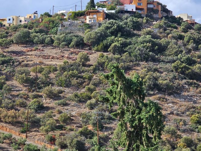 Image No.12-Land for sale