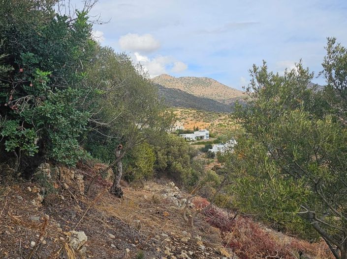 Image No.13-Land for sale