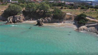 beachistron-1024x576