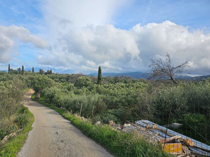 Image No.1-Plot for sale