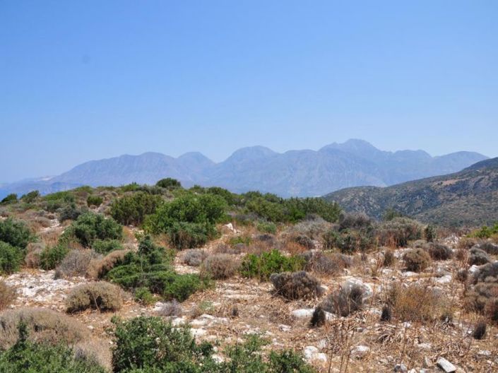 Image No.3-Terre à vendre à Agios Nikolaos