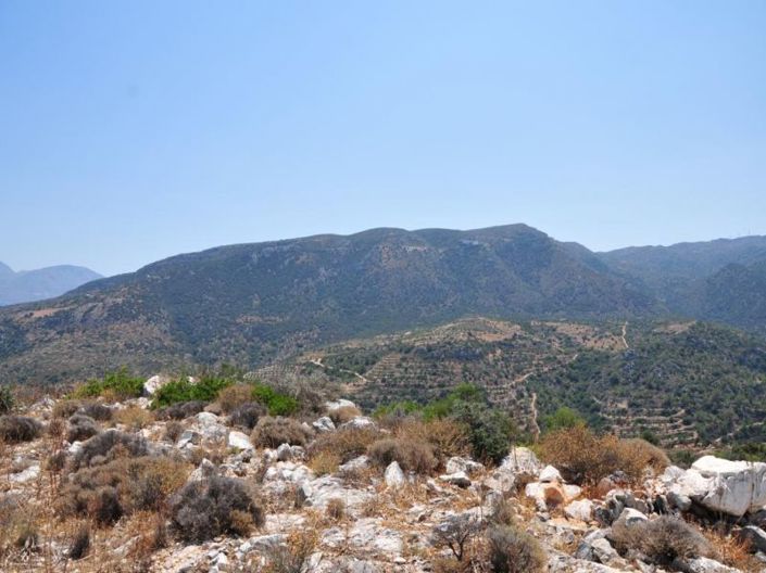 Image No.4-Terre à vendre à Agios Nikolaos