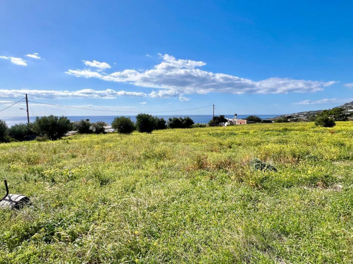 Image No.2-Plot for sale