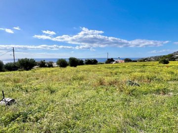 plkou2-photo-3-1024x768