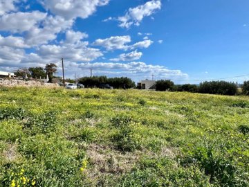 plkou2-photo-10-1024x768