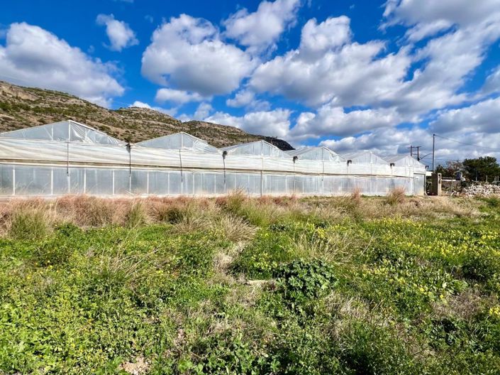 Image No.9-Plot for sale