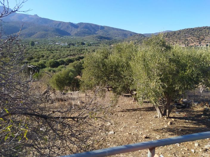 Image No.3-Plot for sale