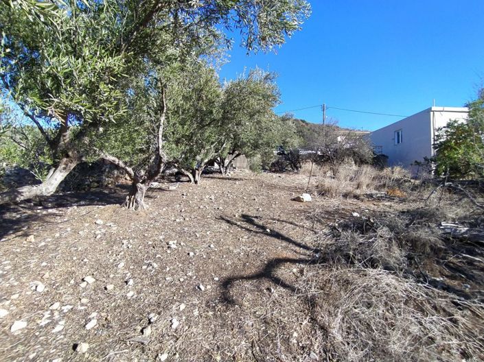 Image No.5-Plot for sale