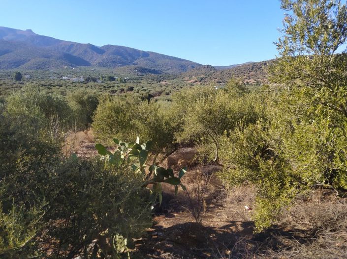 Image No.9-Plot for sale