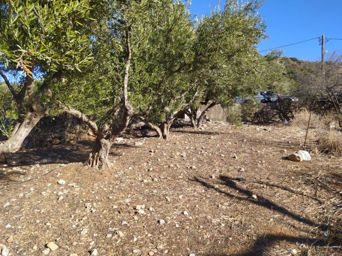 Image No.10-Terrain à vendre à Agios Nikolaos