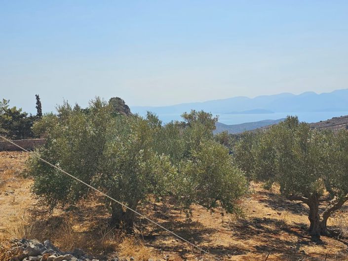 Image No.10-Plot for sale