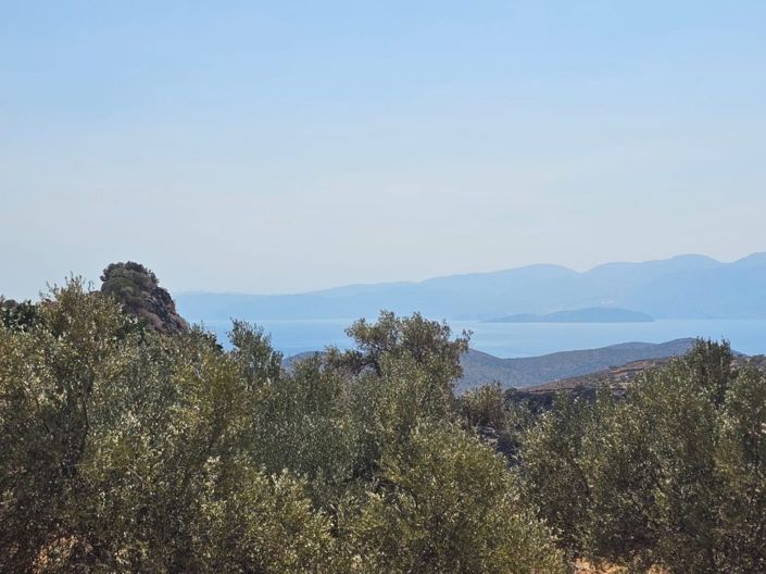 Image No.11-Plot for sale