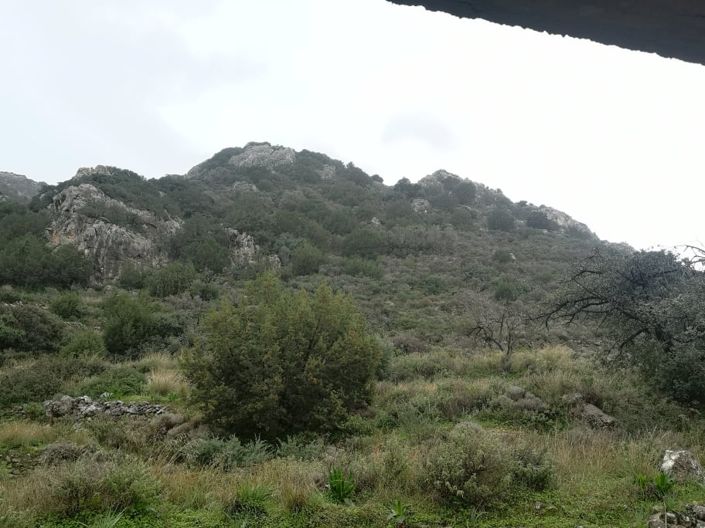 Image No.7-Land for sale