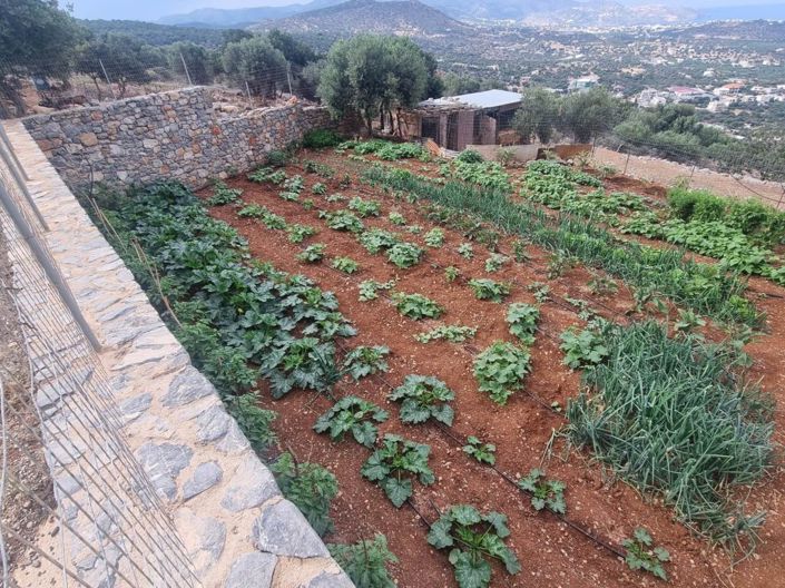 Image No.7-Plot for sale