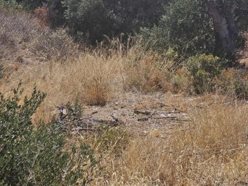 plmoch62-photo-7-1024x768