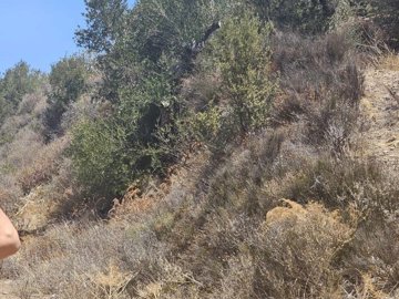 plmoch62-photo-5-1024x768