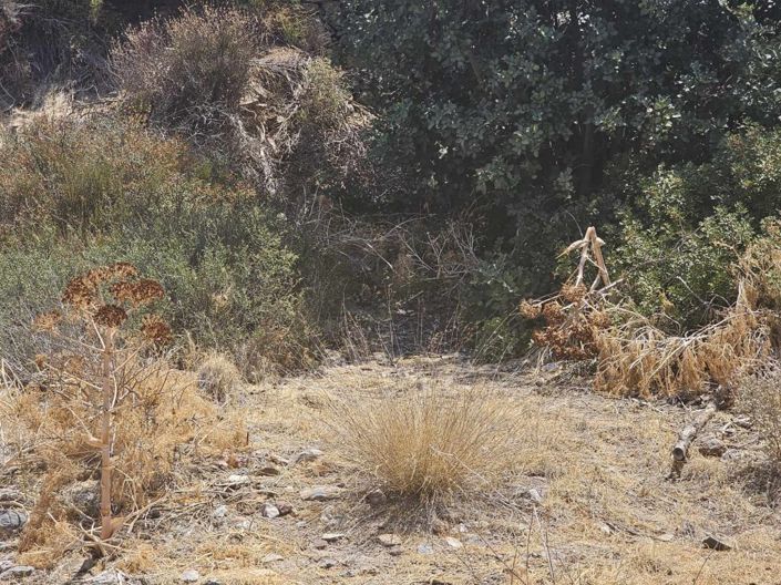 Image No.10-Plot for sale