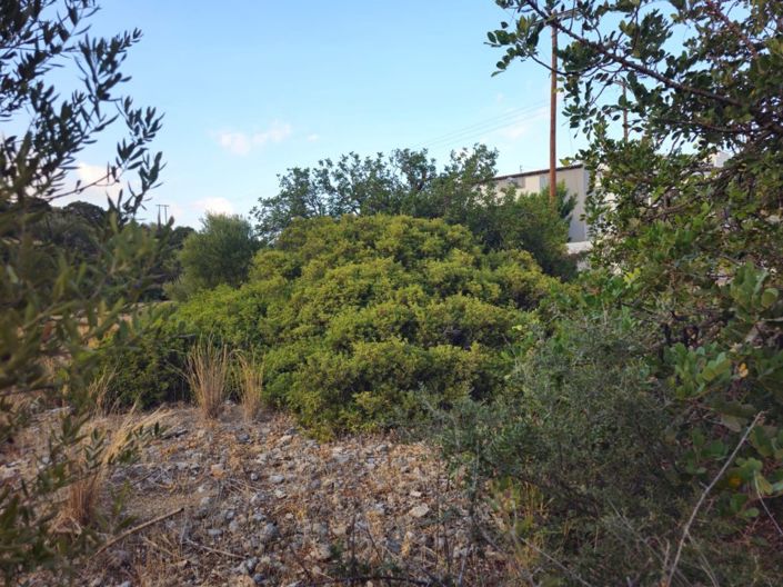 Image No.3-Plot for sale