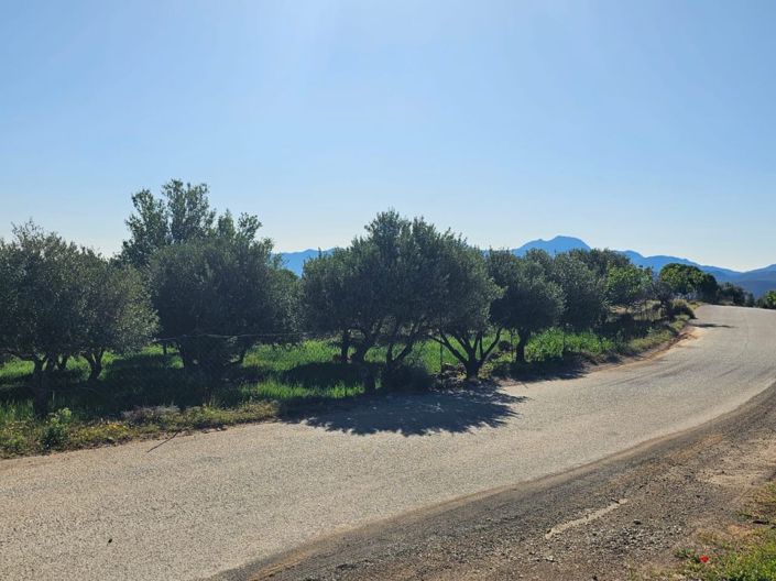 Image No.2-Plot for sale