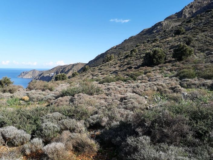 Image No.13-Plot for sale