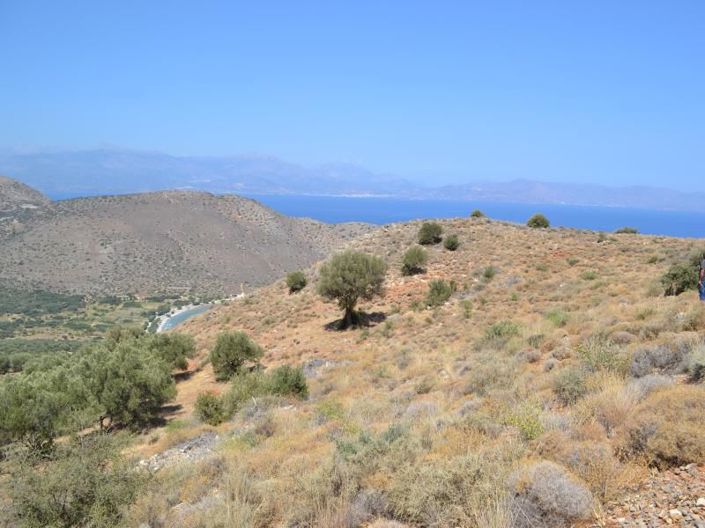 Image No.20-Plot for sale