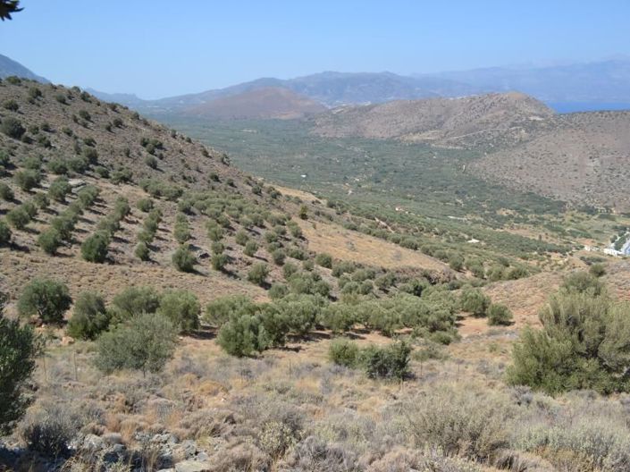 Image No.23-Plot for sale