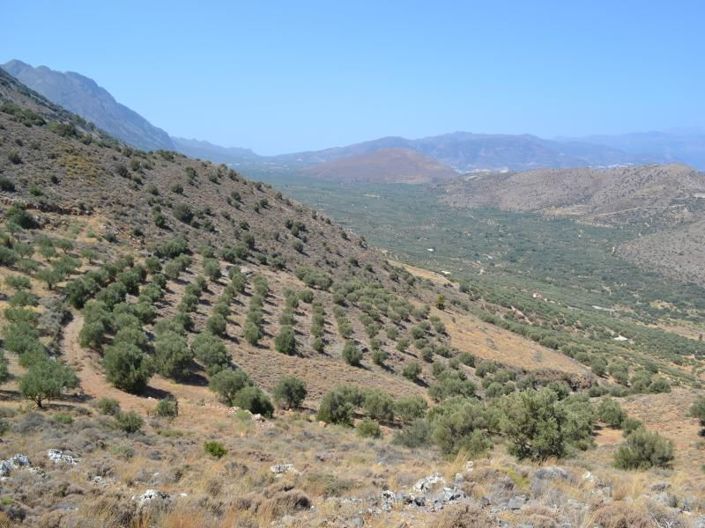 Image No.24-Plot for sale