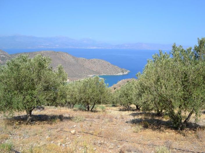 Image No.26-Plot for sale